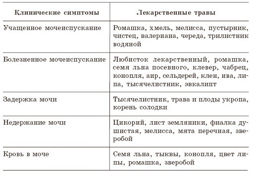 Цистит симптомы и лечение Цистит симптомы и лечение