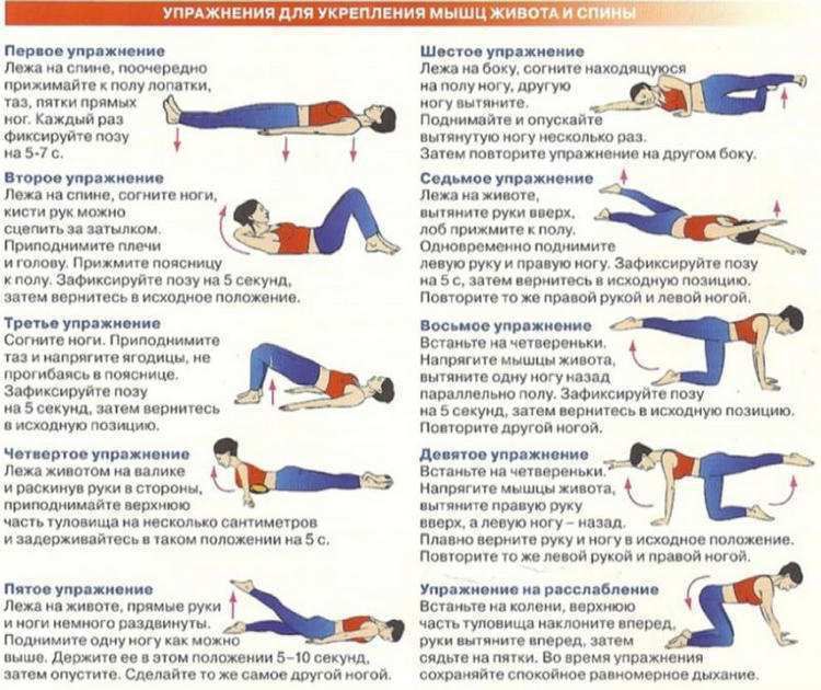 Гимнастика для укрепления мышц спины