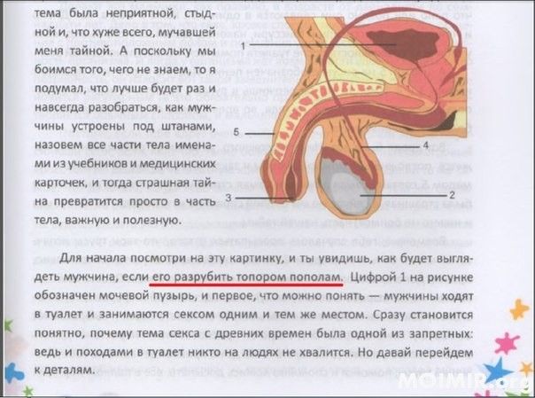 Как правильно заниматься сексом