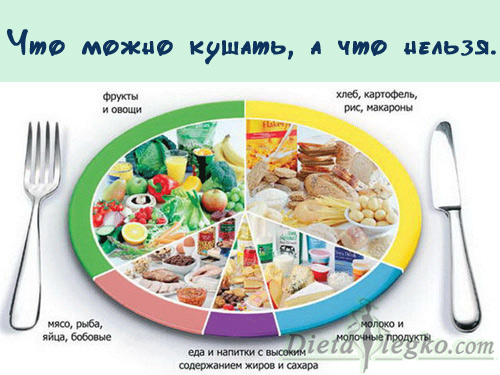 Какие продукты нельзя есть при похудении список Какие продукты нельзя есть при похудении список