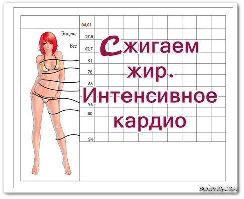 Кардио для сжигания жира Кардио для сжигания жира