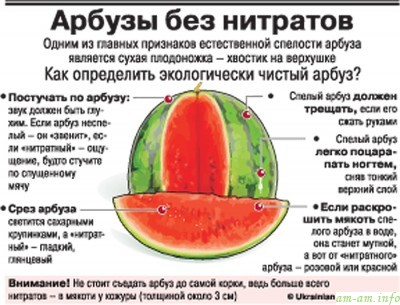 Можно ли арбуз кормящей маме