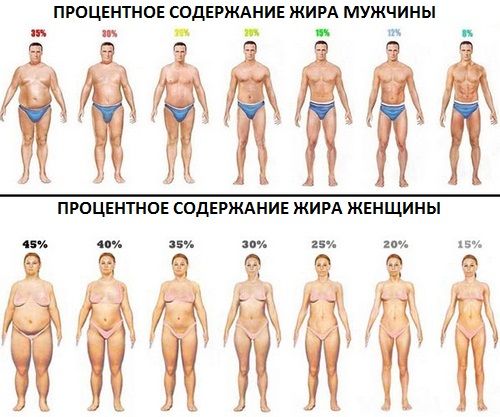 Можно ли убрать живот качая пресс Можно ли убрать живот качая пресс