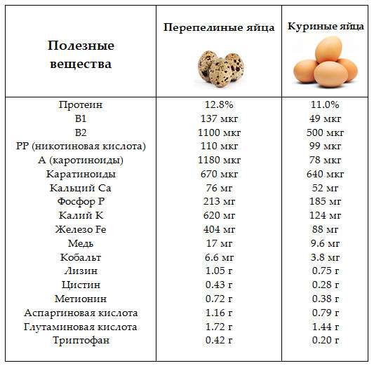 Перепелиные яйца польза и вред