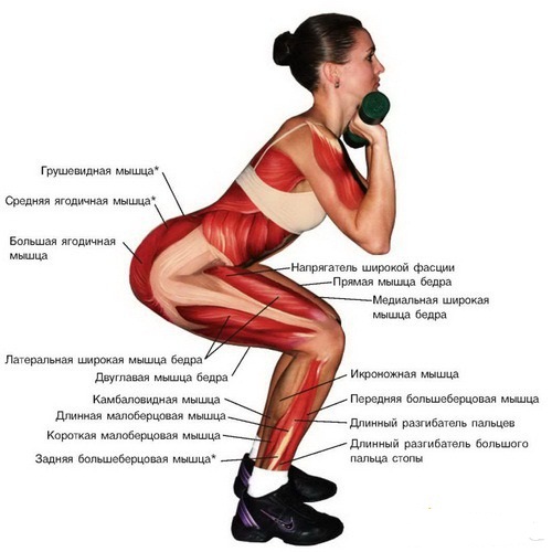 Упражнения для красивых ягодиц