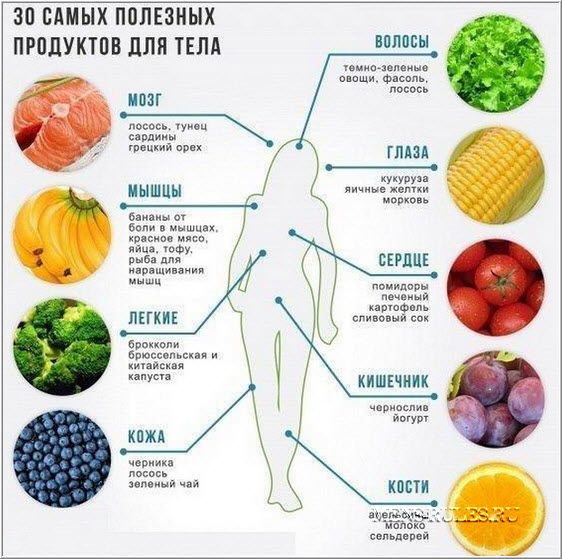 Здоровое питание картинки Здоровое питание картинки
